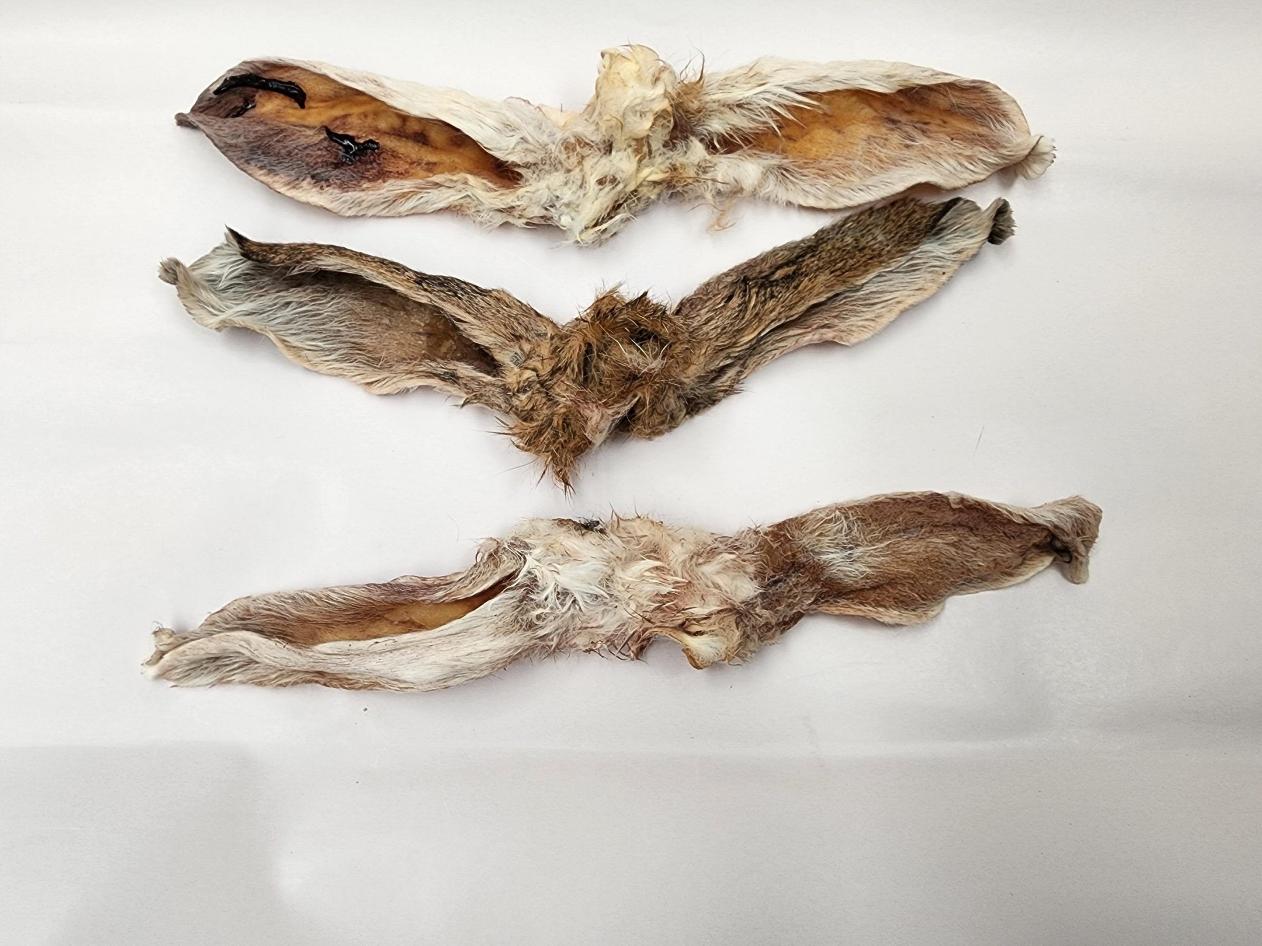 Dehydrated rabbit clearance ears for dogs